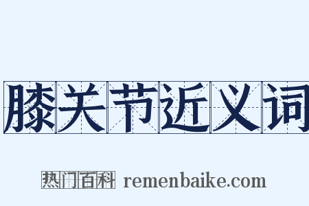 膝关节近义词是什么意思的图片